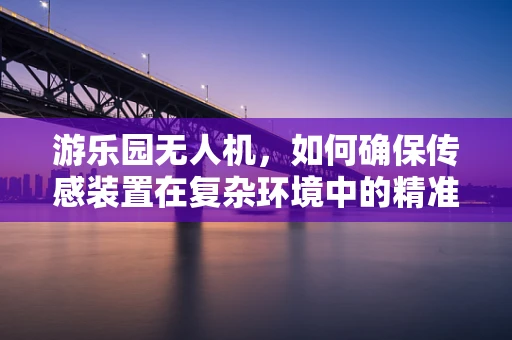 游乐园无人机，如何确保传感装置在复杂环境中的精准定位？