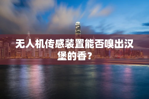 无人机传感装置能否嗅出汉堡的香？