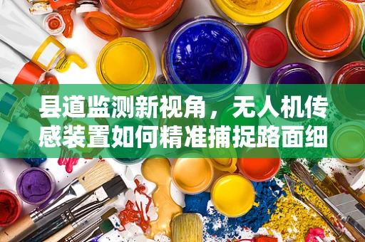 县道监测新视角，无人机传感装置如何精准捕捉路面细节？
