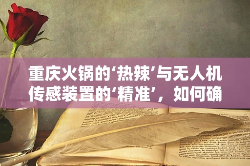 重庆火锅的‘热辣’与无人机传感装置的‘精准’，如何确保飞行安全？