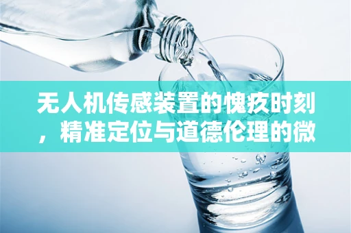 无人机传感装置的愧疚时刻，精准定位与道德伦理的微妙平衡