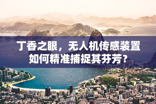 丁香之眼，无人机传感装置如何精准捕捉其芬芳？