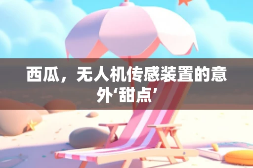 西瓜，无人机传感装置的意外‘甜点’