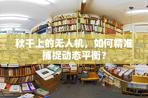 秋千上的无人机，如何精准捕捉动态平衡？