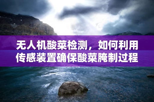 无人机酸菜检测，如何利用传感装置确保酸菜腌制过程中的质量？