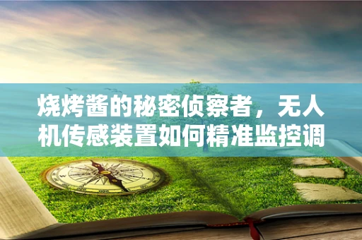 烧烤酱的秘密侦察者，无人机传感装置如何精准监控调味品状态？