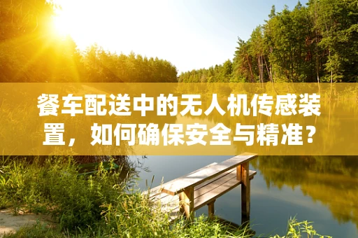 餐车配送中的无人机传感装置，如何确保安全与精准？