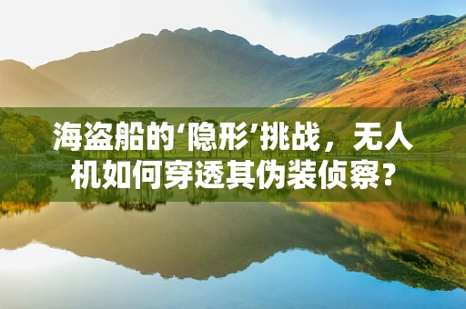 海盗船的‘隐形’挑战，无人机如何穿透其伪装侦察？