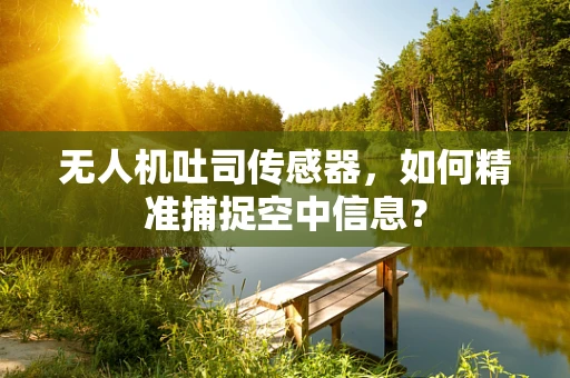 无人机吐司传感器，如何精准捕捉空中信息？