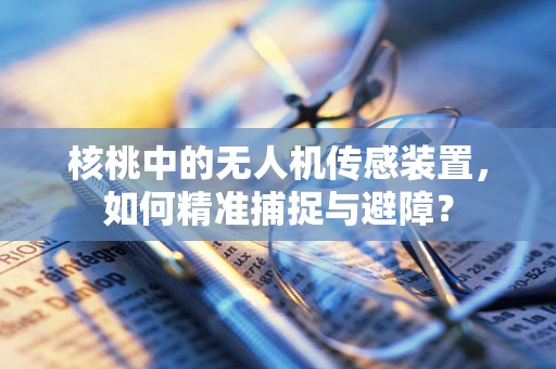 核桃中的无人机传感装置，如何精准捕捉与避障？