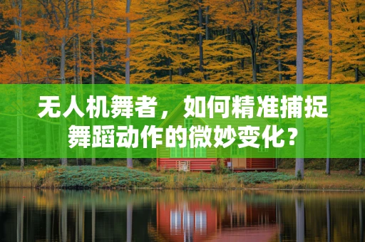 无人机舞者，如何精准捕捉舞蹈动作的微妙变化？