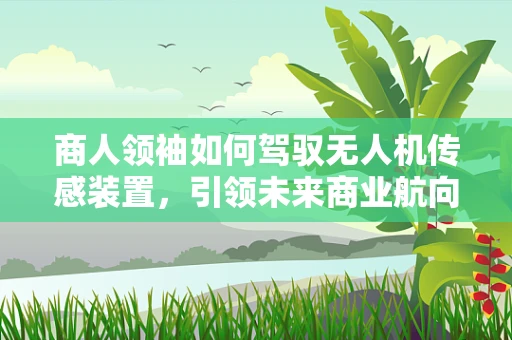 商人领袖如何驾驭无人机传感装置，引领未来商业航向？
