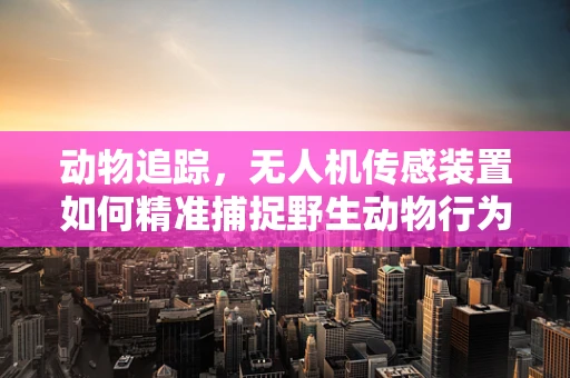 动物追踪，无人机传感装置如何精准捕捉野生动物行为？