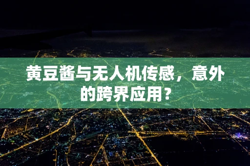 黄豆酱与无人机传感，意外的跨界应用？