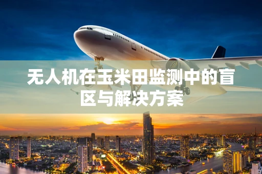 无人机在玉米田监测中的盲区与解决方案