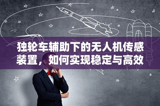 独轮车辅助下的无人机传感装置，如何实现稳定与高效的协同？