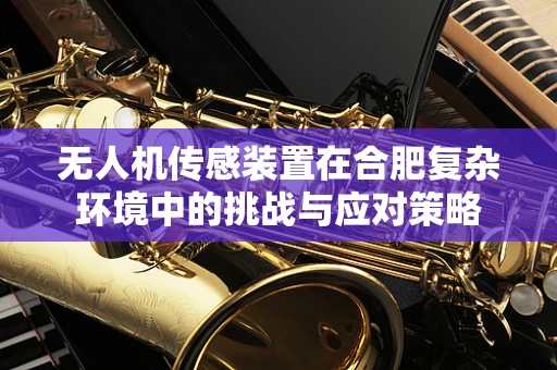 无人机传感装置在合肥复杂环境中的挑战与应对策略