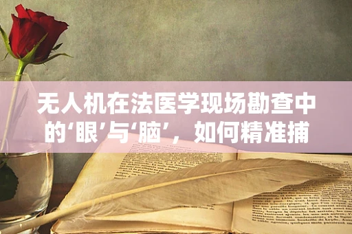 无人机在法医学现场勘查中的‘眼’与‘脑’，如何精准捕捉关键证据？