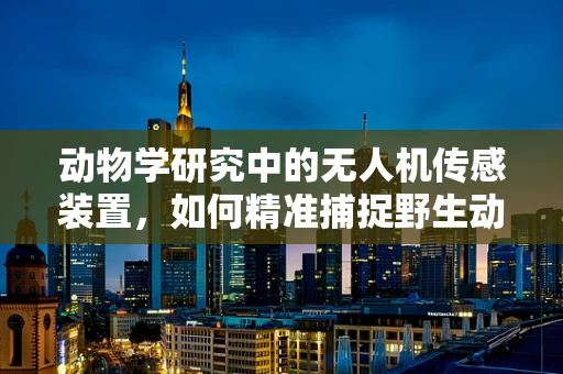 动物学研究中的无人机传感装置，如何精准捕捉野生动物行为？