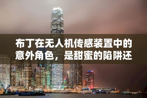 布丁在无人机传感装置中的意外角色，是甜蜜的陷阱还是创新的契机？