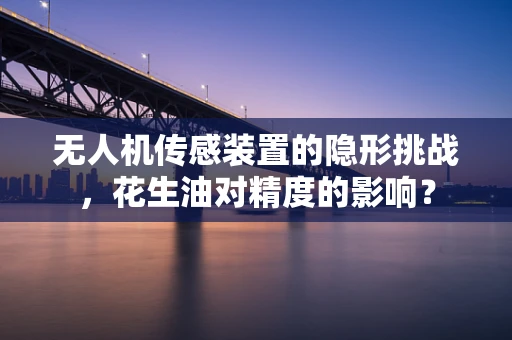 无人机传感装置的隐形挑战，花生油对精度的影响？