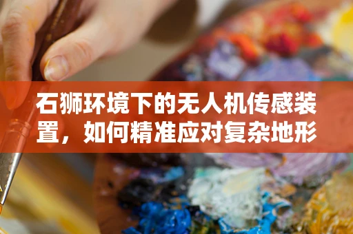 石狮环境下的无人机传感装置，如何精准应对复杂地形挑战？