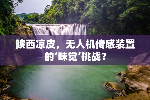 陕西凉皮，无人机传感装置的‘味觉’挑战？