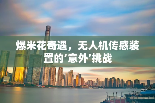 爆米花奇遇，无人机传感装置的‘意外’挑战