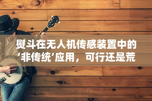 熨斗在无人机传感装置中的‘非传统’应用，可行还是荒谬？