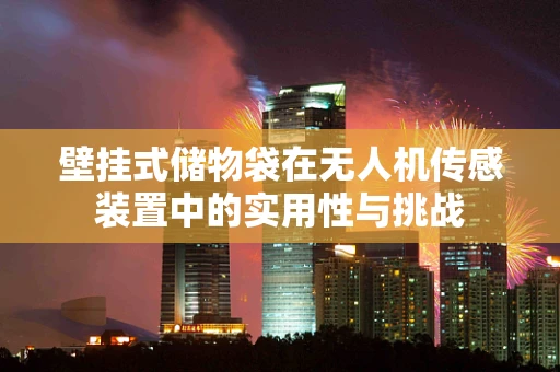 壁挂式储物袋在无人机传感装置中的实用性与挑战