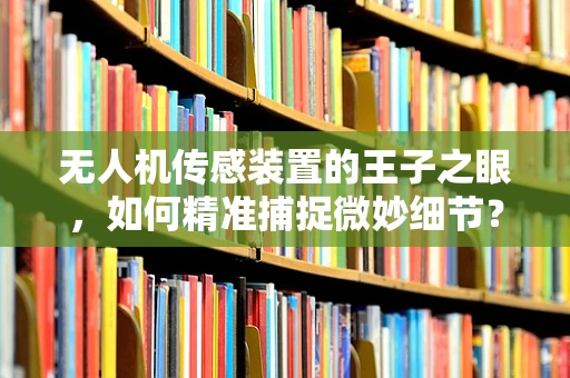 无人机传感装置的王子之眼，如何精准捕捉微妙细节？