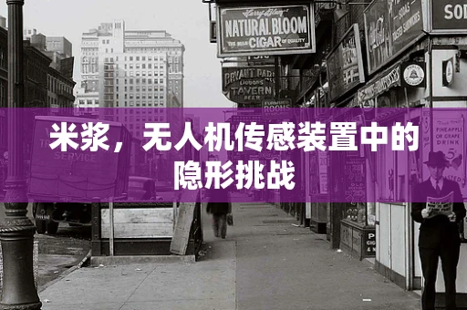 米浆，无人机传感装置中的隐形挑战
