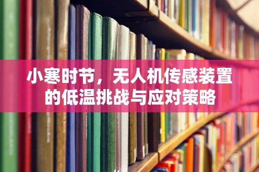 小寒时节，无人机传感装置的低温挑战与应对策略