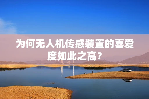 为何无人机传感装置的喜爱度如此之高？