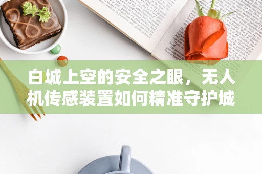 白城上空的安全之眼，无人机传感装置如何精准守护城市安全？