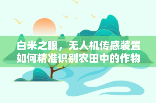 白米之眼，无人机传感装置如何精准识别农田中的作物生长状况？