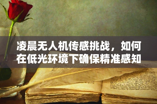 凌晨无人机传感挑战，如何在低光环境下确保精准感知？
