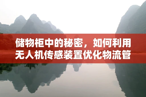 储物柜中的秘密，如何利用无人机传感装置优化物流管理？
