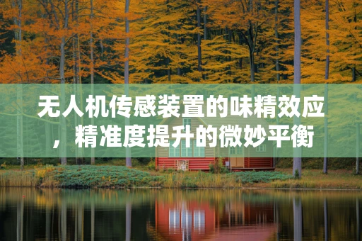 无人机传感装置的味精效应，精准度提升的微妙平衡