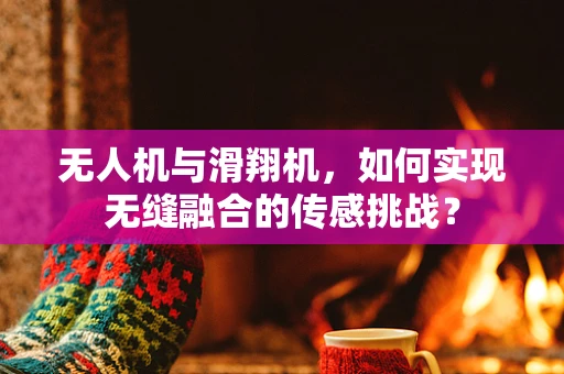 无人机与滑翔机，如何实现无缝融合的传感挑战？