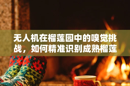 无人机在榴莲园中的嗅觉挑战，如何精准识别成熟榴莲？