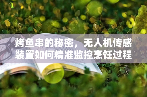 烤鱼串的秘密，无人机传感装置如何精准监控烹饪过程？
