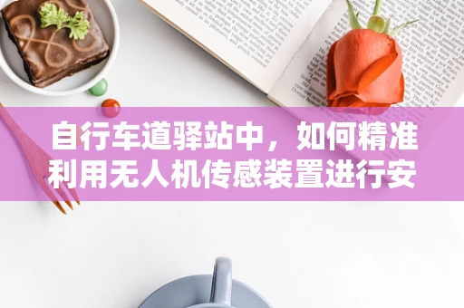 自行车道驿站中，如何精准利用无人机传感装置进行安全监测？
