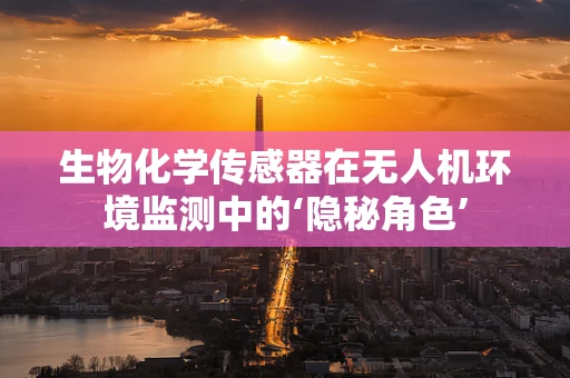 生物化学传感器在无人机环境监测中的‘隐秘角色’