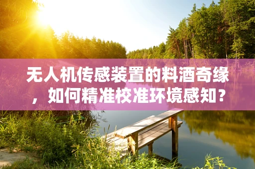 无人机传感装置的料酒奇缘，如何精准校准环境感知？