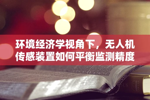 环境经济学视角下，无人机传感装置如何平衡监测精度与生态影响？