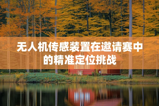 无人机传感装置在邀请赛中的精准定位挑战