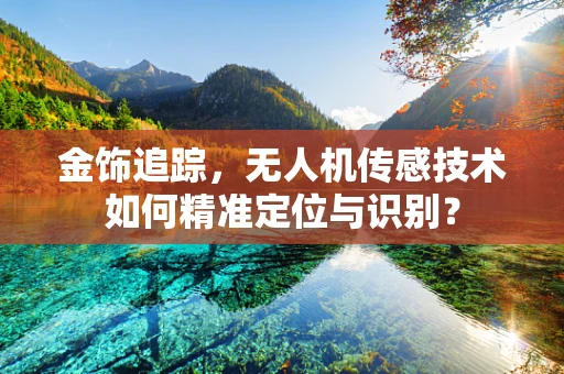 金饰追踪，无人机传感技术如何精准定位与识别？