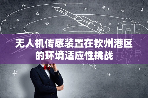 无人机传感装置在钦州港区的环境适应性挑战