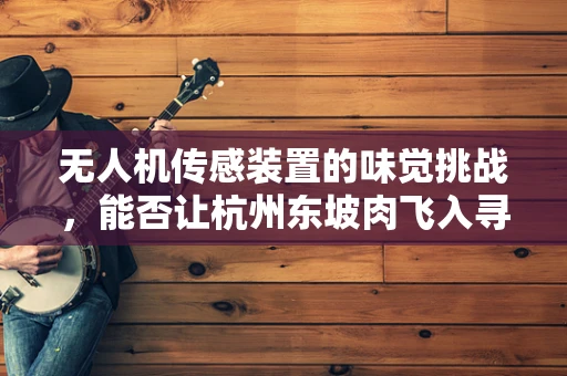 无人机传感装置的味觉挑战，能否让杭州东坡肉飞入寻常百姓家？